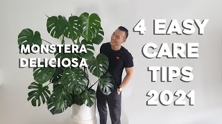 4 Easy Care Tips for Monstera Deliciosa  For the busy or lazy plant parent seasoned refresher [upl. by Stortz]