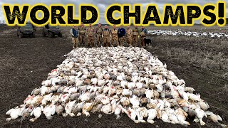 Snow Goose WORLD CHAMPS  473 Geese Killed [upl. by Inalial]