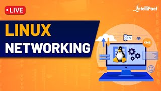 Linux Networking  Linux Networking Commands  Linux Networking Tutorial  Intellipaat [upl. by Menard]