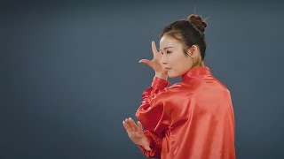 Baguazhang form for competitive wushu taolu [upl. by Akirehs]