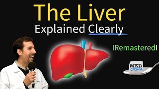 Liver Explained Function Pathology Diseases amp Cirrhosis [upl. by Moulton]