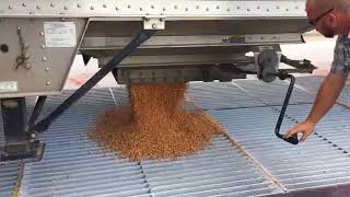 Grain Dump Pit  Unload a Semi in 1 minute [upl. by Cooe]