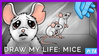 Draw My Life Laboratory Mice [upl. by Sondra]