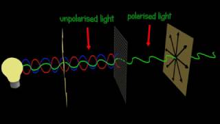 Polarization  Polarizer  Explained and animated 3d [upl. by Lorenzana]