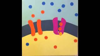 Establishing Resting Membrane Potential [upl. by Ithaman]