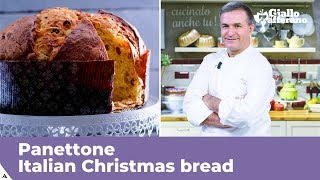 PANETTONE Italian Christmas bread traditional recipe [upl. by Lander441]