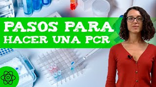 Cómo se hace una PCR 🧬 Pasos para hacerla [upl. by Anelem]