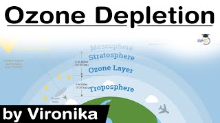 Ozone Depletion [upl. by Hamo306]