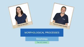 MOR104  Morphological Processes [upl. by Torry]