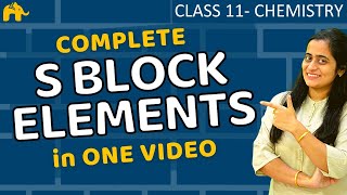 S block elements class 11 one shot  Chapter 11  CBSE JEE NEET NCERT Hindi [upl. by Amihsat68]