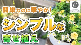 【シンプルな寄せ植え】簡単で、とっても華やか！ ＃37 [upl. by Aryahay542]