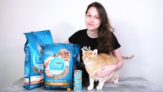 Purina ONE Cat Food Review We Tried It [upl. by Eelrak]