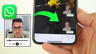 Crear STICKERS ANIMADOS en WhatsApp fácil y sin fondo ✅ [upl. by Aitnas]