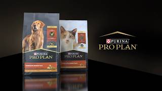 Purina Pro Plans New Dog amp Cat Food Packaging Design [upl. by Enytsirk]