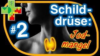 Schilddrüsenunterfunktion  Ursache Jodmangel [upl. by Sibylla]