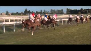 Phar Lap wins Melbourne Cup 1930 [upl. by Ardnaet924]