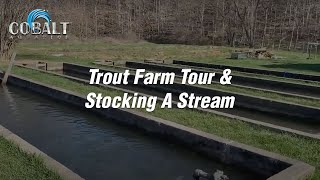 Cobalt Trout Farm Tour and Stocking A Stream [upl. by Bowden]