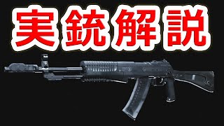 【天才が生んだ銃】アバカン AN94【実銃解説】NHG [upl. by Baecher]