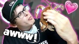 Crab Love  Bad Unboxing Fan Mail [upl. by Nalhsa]