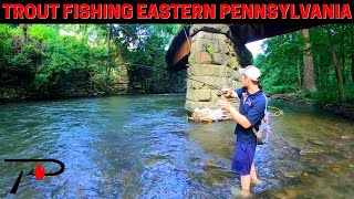 Trout Fishing Eastern Pennsylvania [upl. by Drusilla]