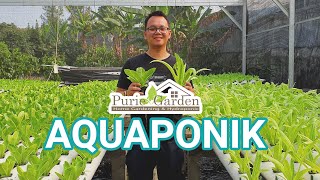 MENANAM SAYURAN DENGAN CARA AQUAPONIK  AKUAPONIK [upl. by Irpak830]