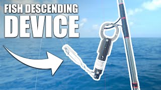 HOW TO USE A FISH DESCENDING DEVICE  Fish release tool [upl. by Radnaskela]