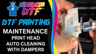 🔧 How to do Printhead Maintenance and Dampers on Epson L1800 and Similar Printers  DTF Printing [upl. by Ainek]