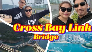 Cross Bay Link Bridge Tseung Kwan O and LOHAS Park [upl. by Sirrom586]