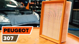 How to change air filter on PEUGEOT 307 TUTORIAL AUTODOC [upl. by Ullyot]