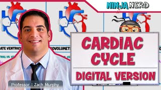 Cardiovascular  Cardiac Cycle Digital Version [upl. by Nosauq]