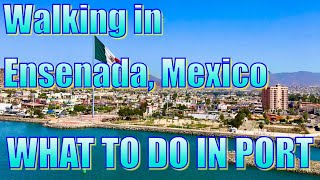 Walking in Ensenada Mexico  What to Do on Your Day in Port [upl. by Libbie]