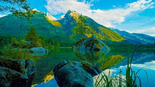 Beautiful Lake in Nature No Sound  4K UHD [upl. by Maia]