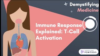 Immune Response Explained TCell Activation [upl. by Ecydnarb]