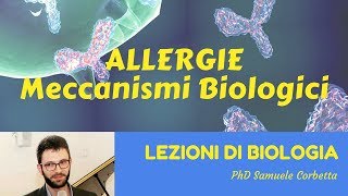 Allergie  Meccanismi biologici  Lezioni di biologia [upl. by Nepil]