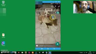 Hacer un Gif con Whatsapp  Paso a paso [upl. by Amerd335]