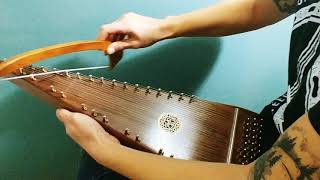 Bowed Psaltery  Shady Grove [upl. by Ayom754]