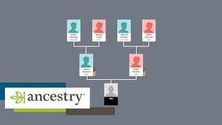 How Ancestry works  Howto  Ancestry UK [upl. by Akimet195]