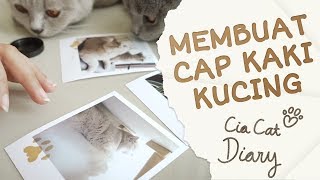 Membuat Cap Kaki Kucing  Cia Cat Diary  Ep 14 [upl. by Bicknell]