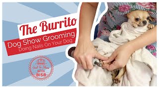 Dog Grooming How To Trim Nails On A Difficult Dogs [upl. by Atsirhc]