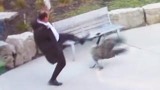 Man Attacked By Goose almost dies [upl. by Colas]