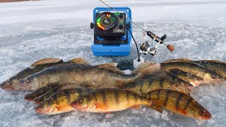 Ice Fishing for Perch and Walleyes MINNESOTA [upl. by Fredette]