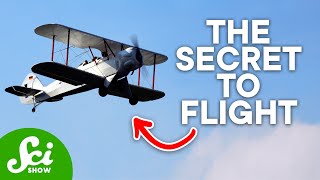 How the Wright Brothers Changed Everything We Know About Flying [upl. by Liartnod]