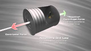 Centripetal vs Centrifugal [upl. by Aslam]