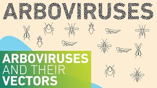 Arboviruses and their Vectors [upl. by Enomor]