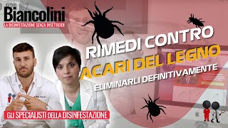 ❓🍀Acari del legno come eliminarli definitivamente❓🍀 [upl. by Giordano255]