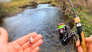 Spinning for WILD River trout spring Fishing [upl. by Erialc]