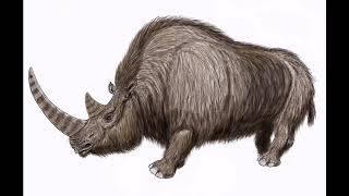 Sound Effects  Woolly Rhinoceros remade [upl. by Marigold]