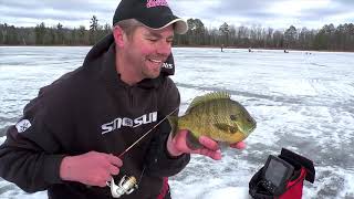 Ice Fishing Big Bluegills with Plastics for Skills to Catch Other Fish In Depth Outdoors TV [upl. by Dronski]