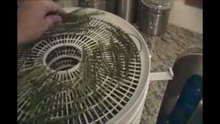 DIY Herb Drying Chives Tutorial [upl. by Duyne781]