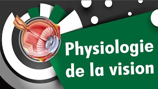 Physiologie de la vision  INSEN academy [upl. by Ardnuek715]